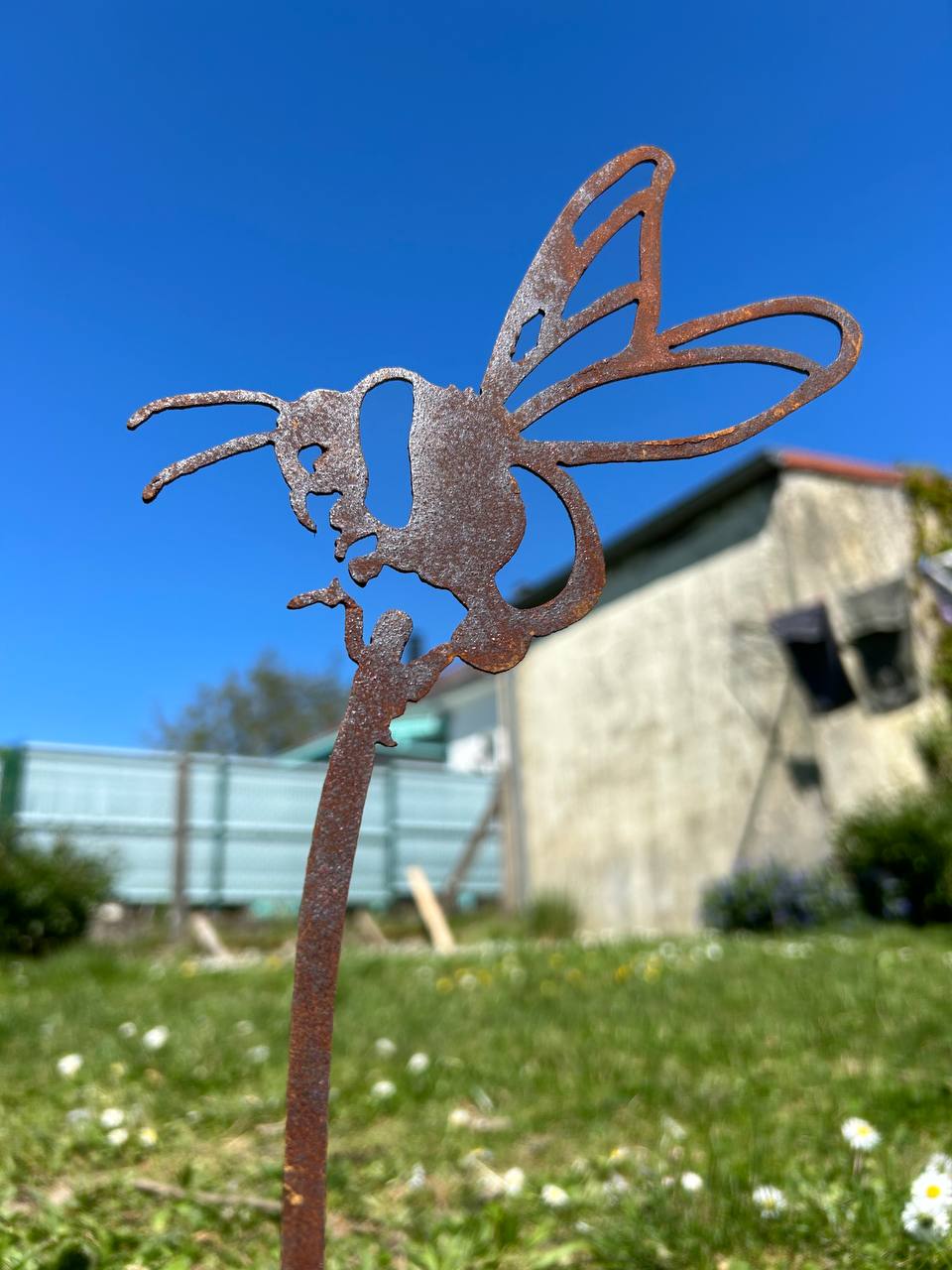 L'abeille